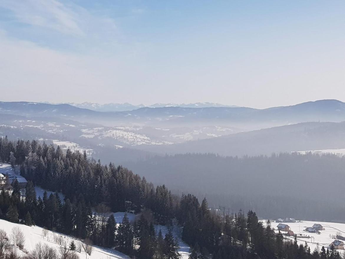 Agroturystyka Koronkowe Zacisze Koniaków エクステリア 写真