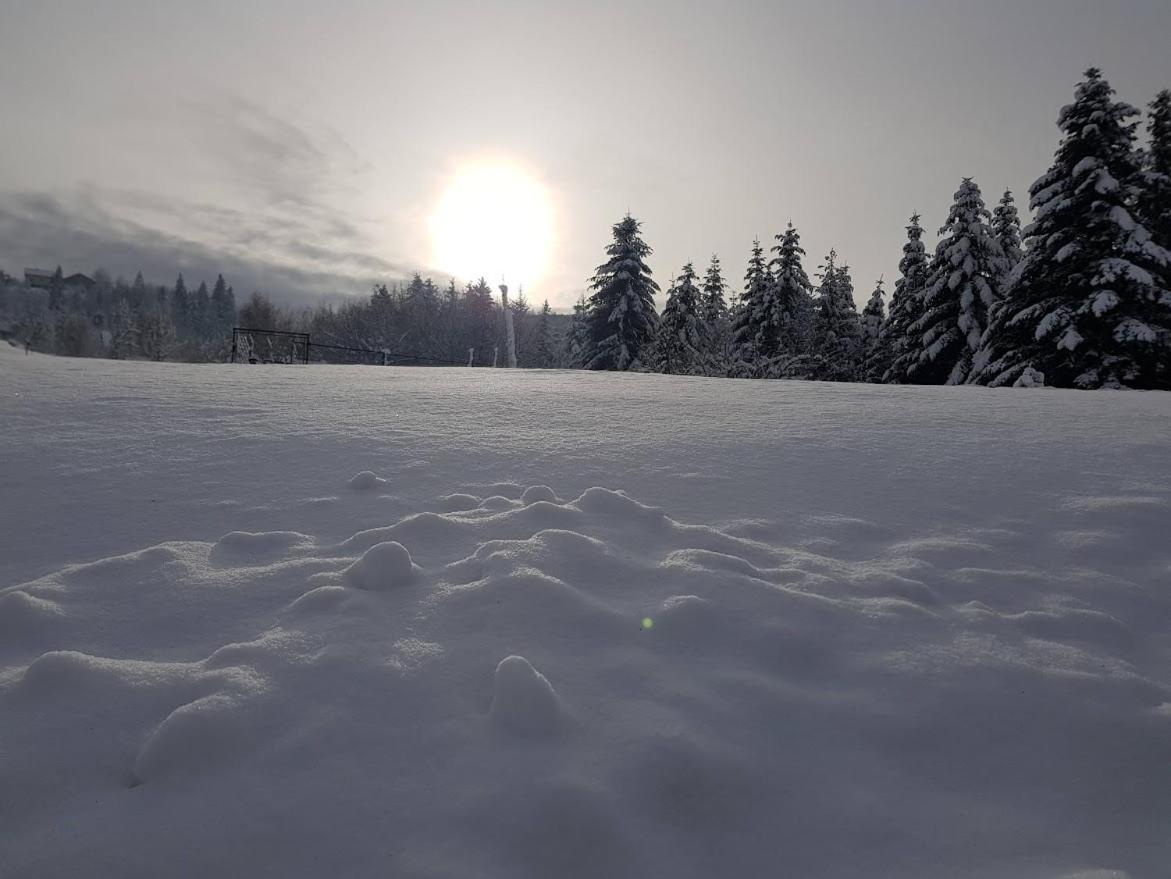 Agroturystyka Koronkowe Zacisze Koniaków エクステリア 写真
