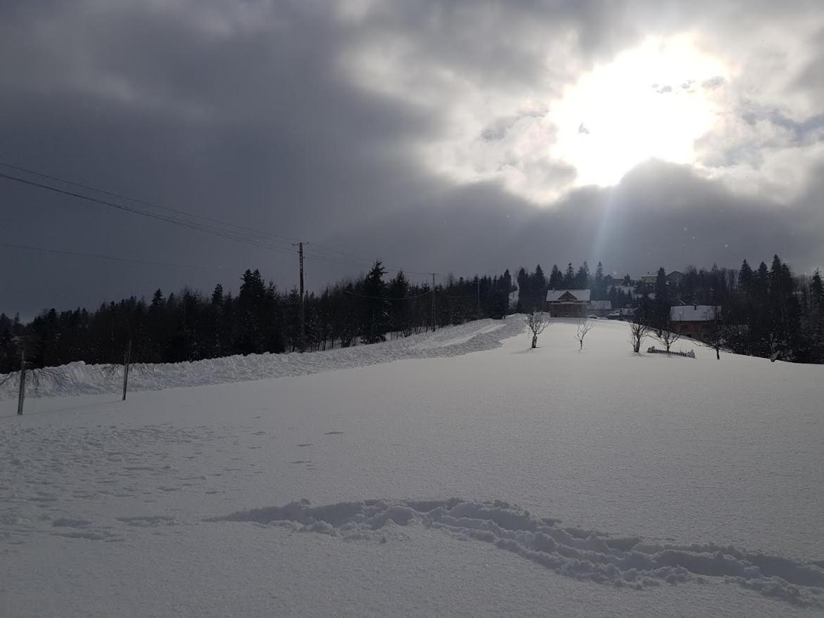 Agroturystyka Koronkowe Zacisze Koniaków エクステリア 写真