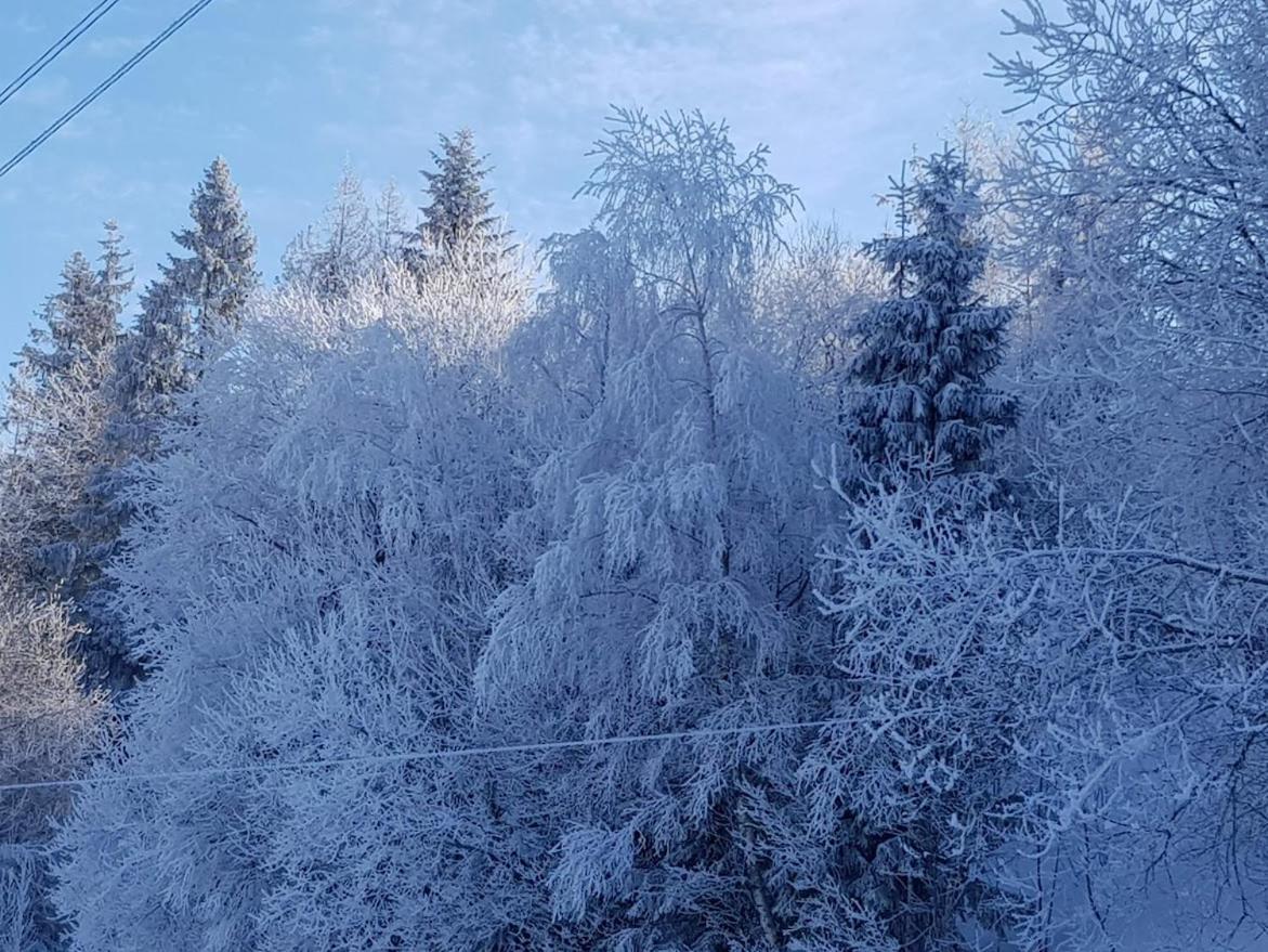 Agroturystyka Koronkowe Zacisze Koniaków エクステリア 写真